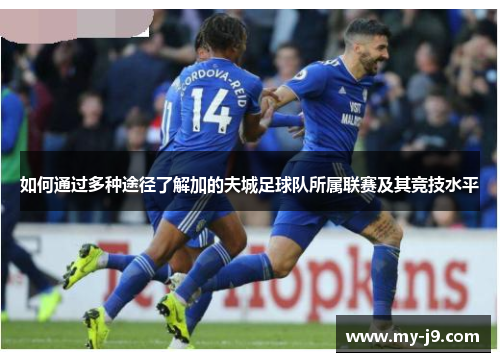 如何通过多种途径了解加的夫城足球队所属联赛及其竞技水平